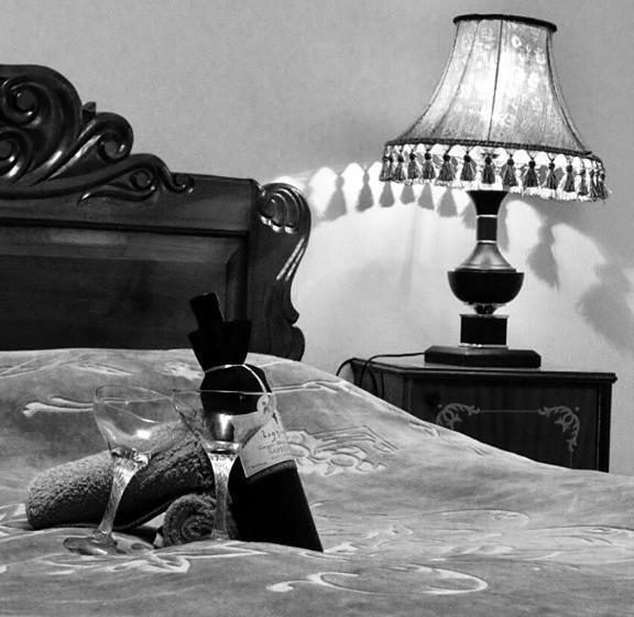 پانسیون Erik's Guest House