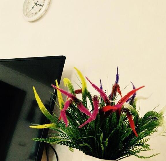 پانسیون Erik's Guest House