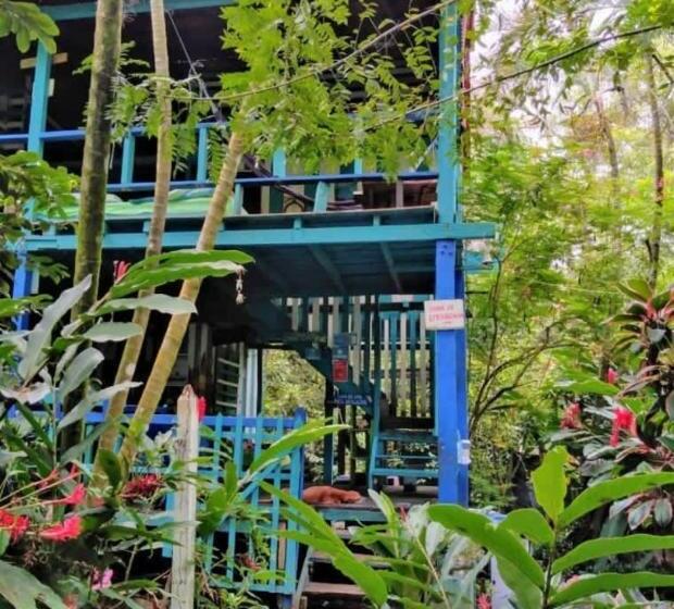 ペンション Hostal La Bohemia