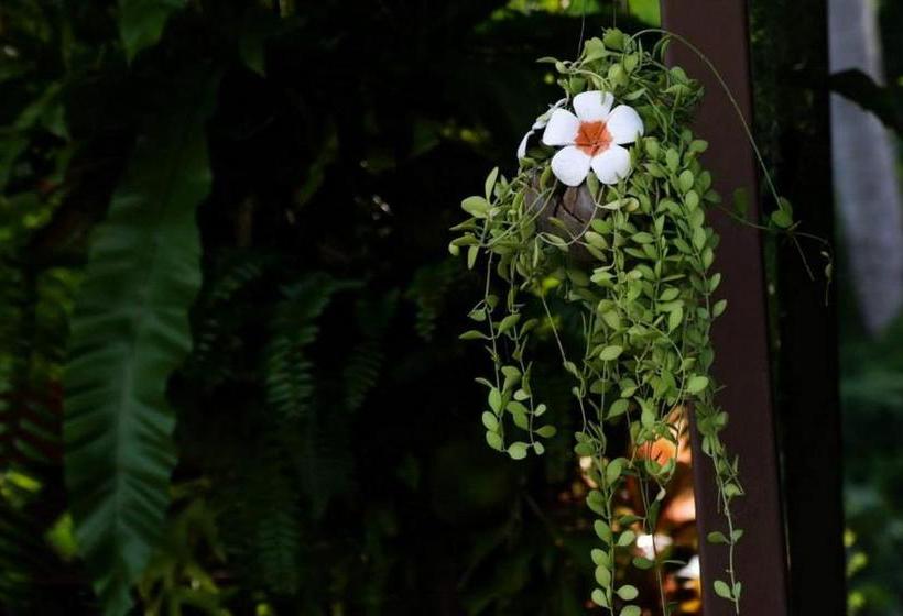 膳宿费 Kaoseng Resort