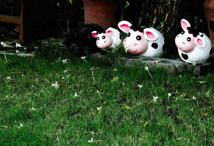 膳宿费 Kaoseng Resort