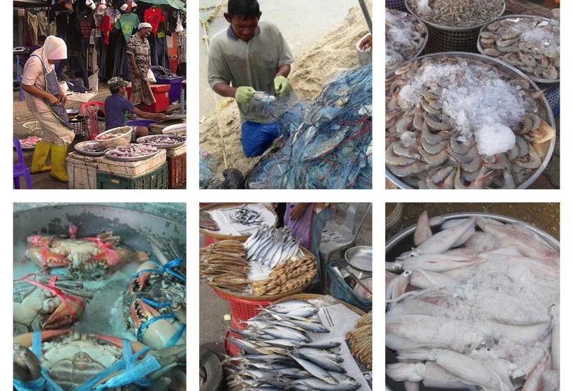 膳宿费 Kaoseng Resort