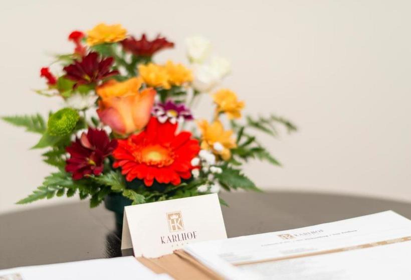 بنسيون Karlhof