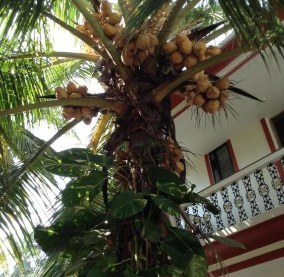 بنسيون Minria Guest House