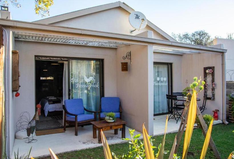 פנסיון Mirabel Guesthouse