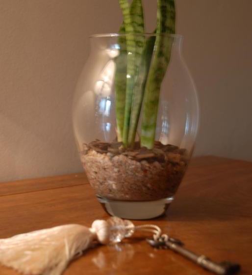 פנסיון Moonlight Manor