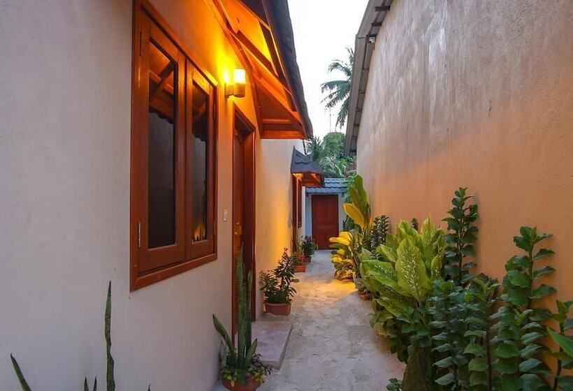 پانسیون New Moon Village