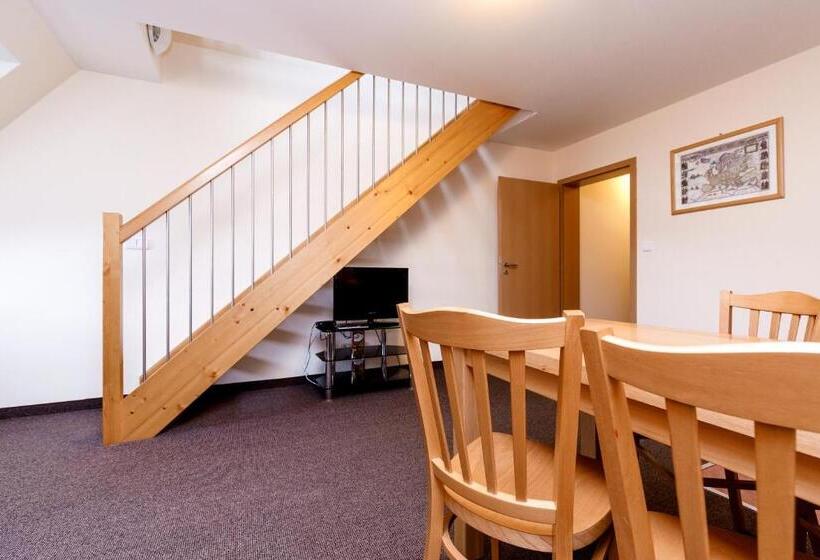 膳宿费 Penzion A Apartmány Daro