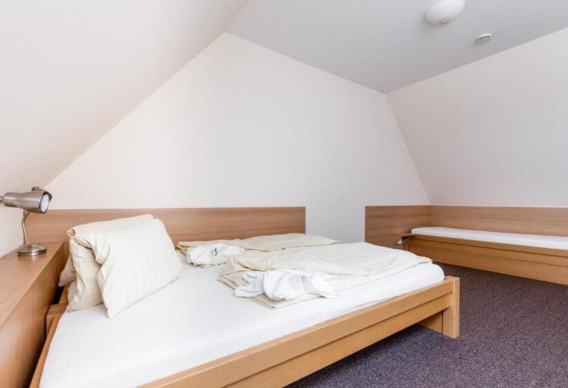 膳宿费 Penzion A Apartmány Daro