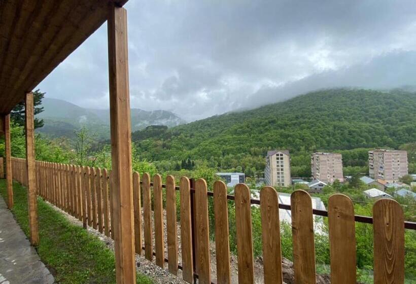 بنسيون Popock Dilijan 1