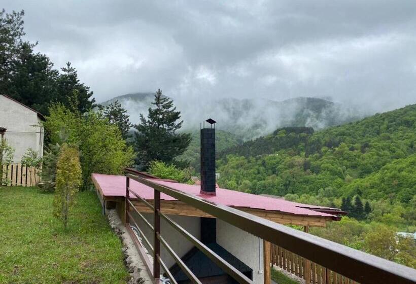 پانسیون Popock Dilijan 1
