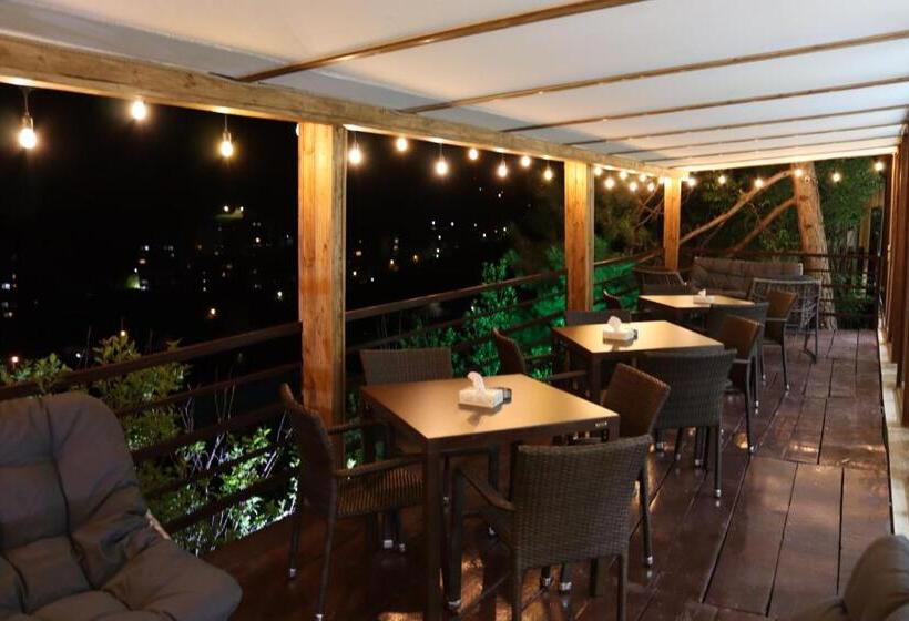 بنسيون Popock Dilijan 1