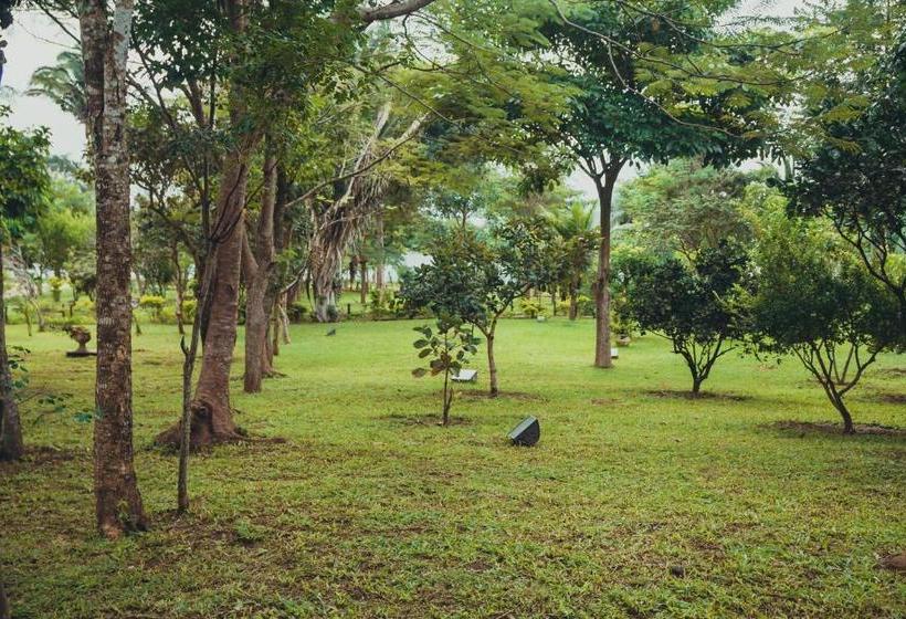 ペンション Ibiapaba