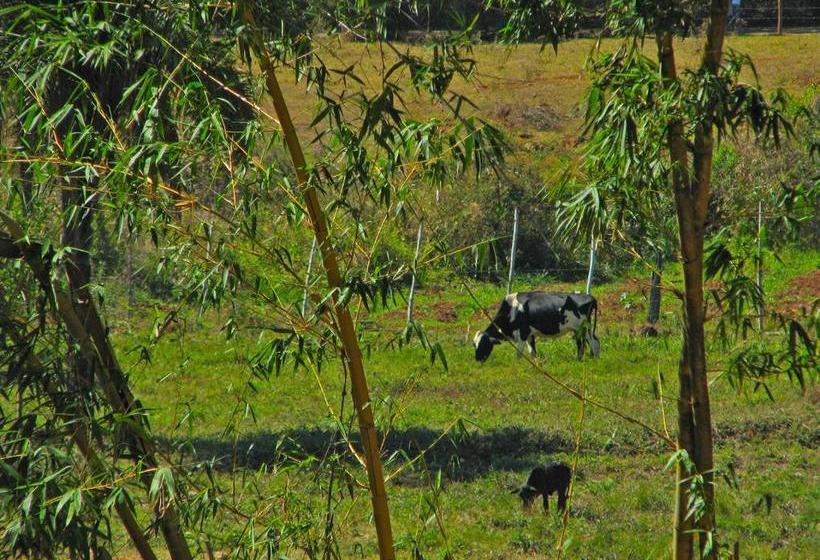 膳宿费 Pousada Kafundó Inhotim