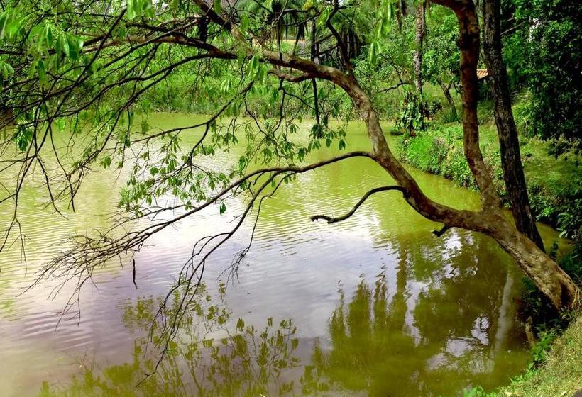 膳宿费 Pousada Kafundó Inhotim