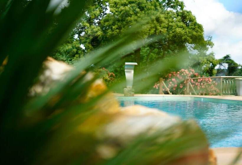 Пансион Rancho Cipo Pousada