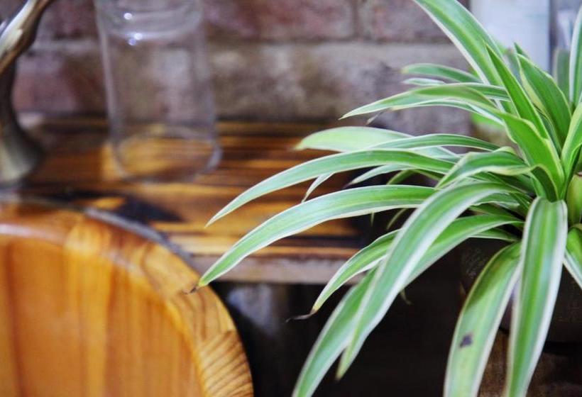 بنسيون Yangshuo Yinxiang Villa