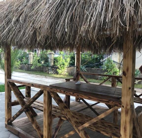 هاستل Chito Gvrito