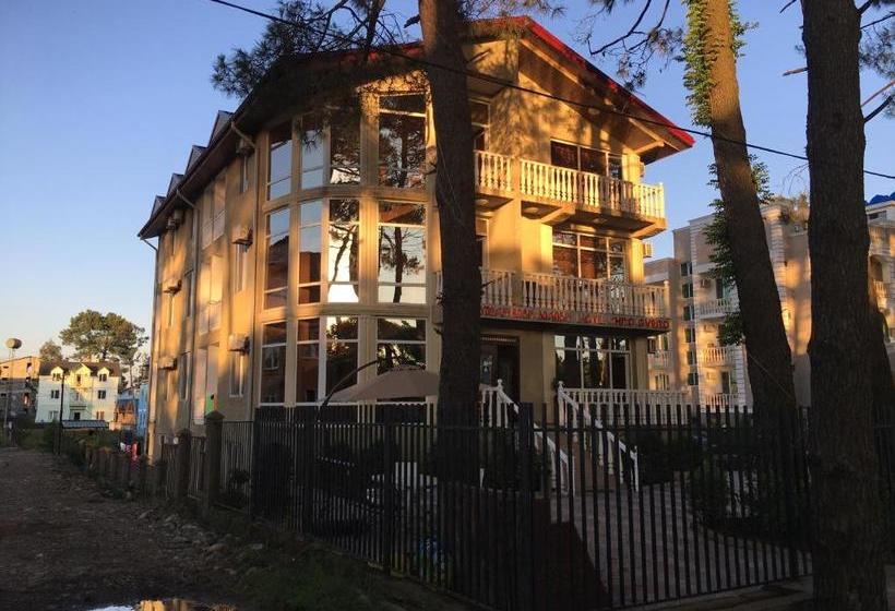 هاستل Chito Gvrito