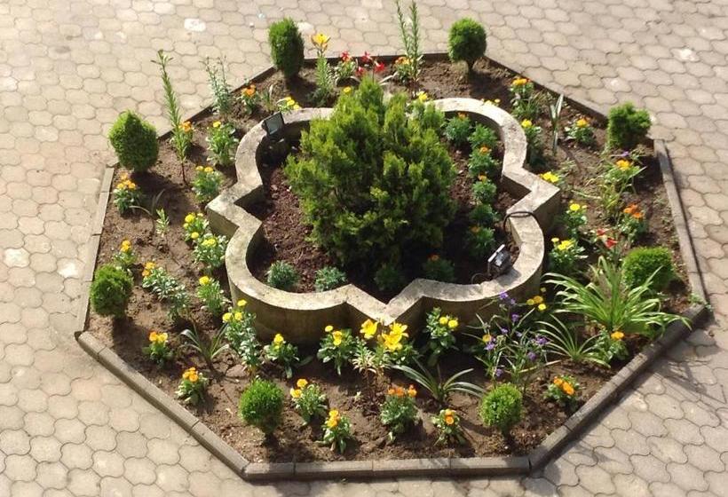 هاستل Chito Gvrito