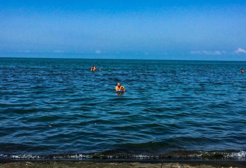 هاستل Chito Gvrito