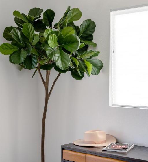 ユースホステル Desert Hot Springs Inn