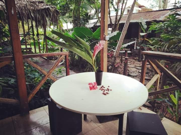 Общежитие El Faro 13 De Puerto Viejo