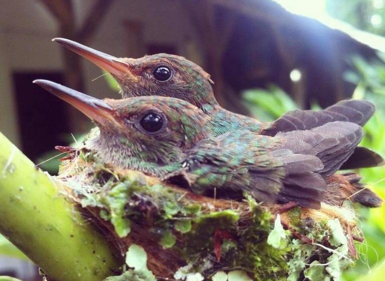 Общежитие El Faro 13 De Puerto Viejo