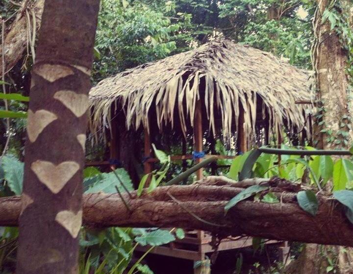 Общежитие El Faro 13 De Puerto Viejo