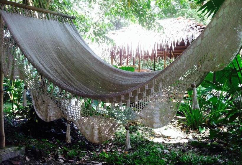 Общежитие El Faro 13 De Puerto Viejo