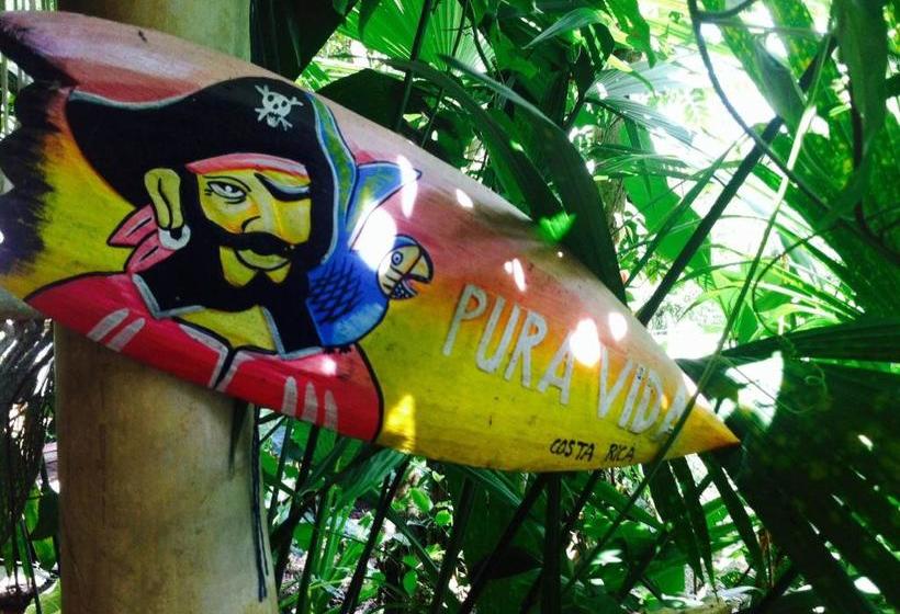 Общежитие El Faro 13 De Puerto Viejo