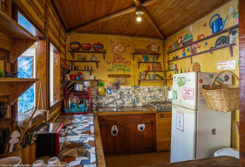 فندق صغير Hostal Bambu