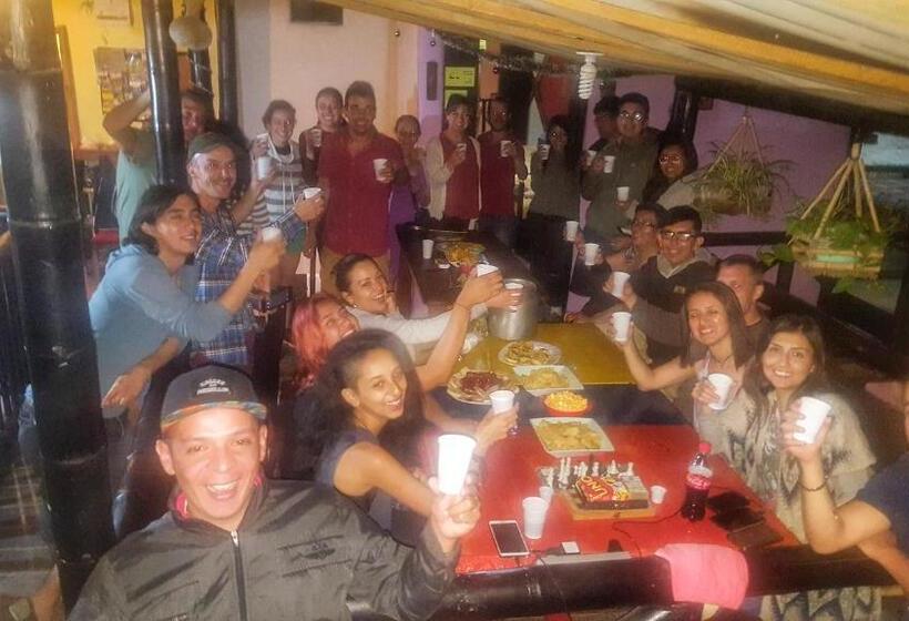 فندق صغير Hostal Bambu