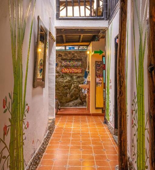 فندق صغير Hostal Bambu