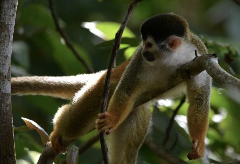 호스텔 Residencia De La Marina