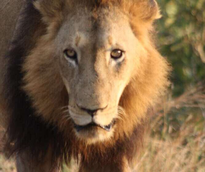 호스텔 Thokozani Lodge