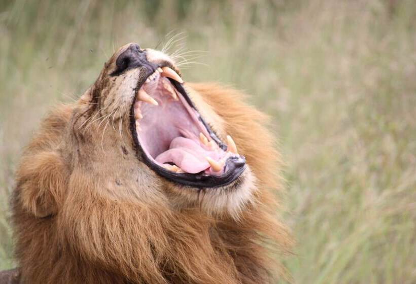 호스텔 Thokozani Lodge