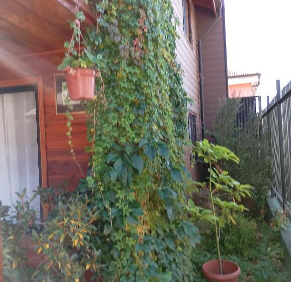 Apart Hotel Colonia Königsberg Estacionamiento Deptos Completos Ubicado En El Centro De Valdivia Air