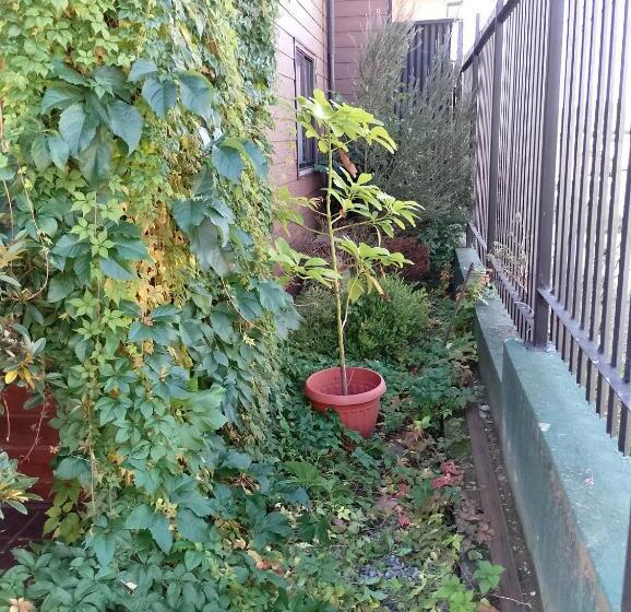 Apart Hotel Colonia Königsberg Estacionamiento Deptos Completos Ubicado En El Centro De Valdivia Air