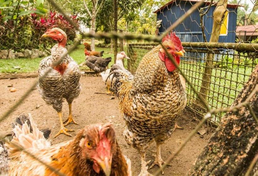 Hospedaria Abbud & Fernandez