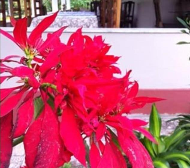 Hospedaria Abbud & Fernandez