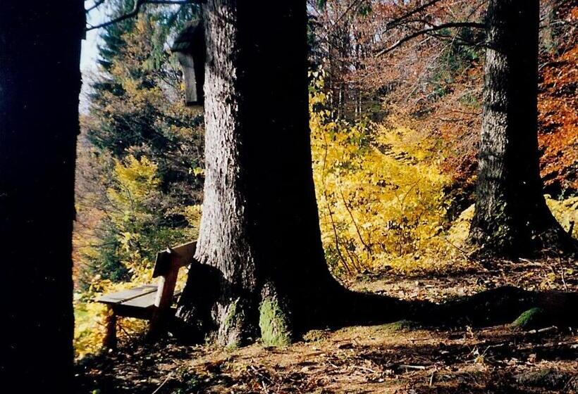 هتل Bio Gesundheitshof Daxinger