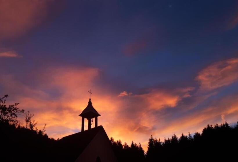 هتل Bio Gesundheitshof Daxinger