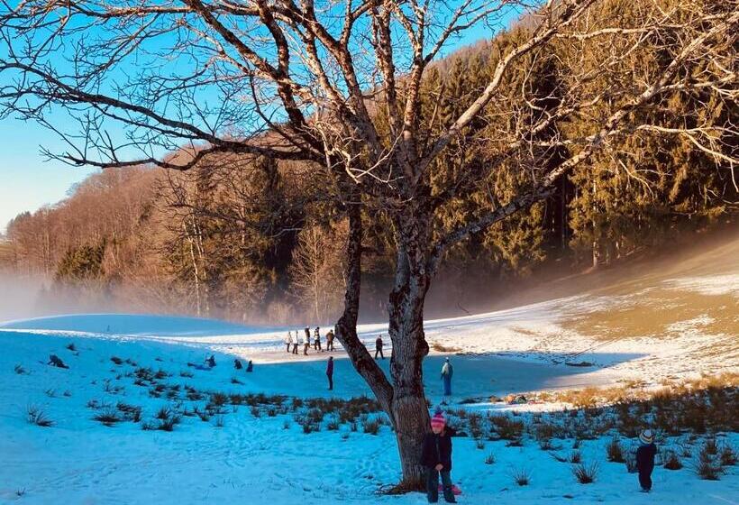 هتل Bio Gesundheitshof Daxinger