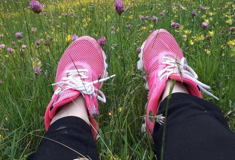 هتل Bio Gesundheitshof Daxinger