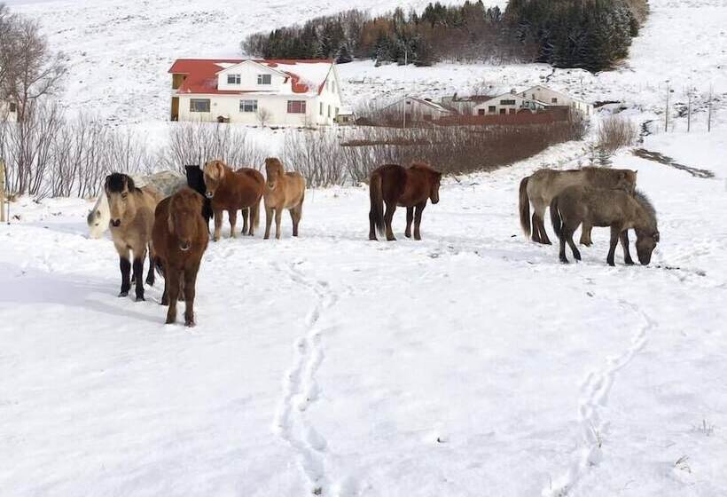 هتل öndólfsstaðir Farm B&b