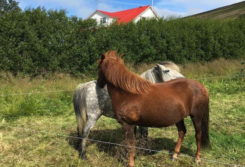 هتل öndólfsstaðir Farm B&b