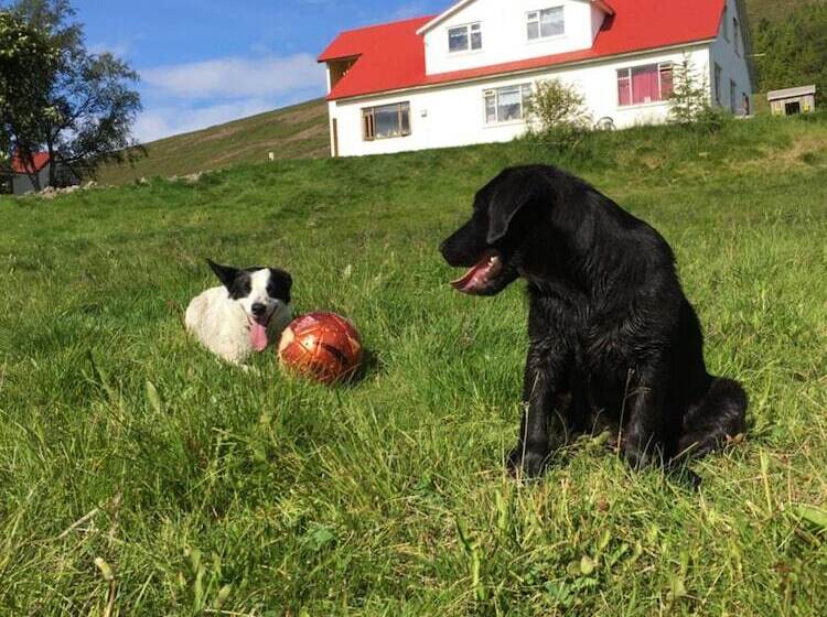 هتل öndólfsstaðir Farm B&b