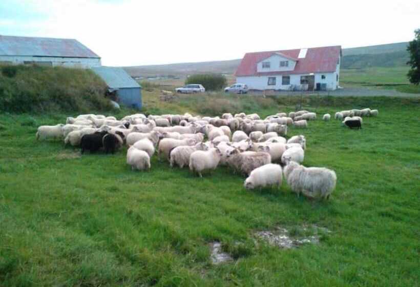 هتل öndólfsstaðir Farm B&b