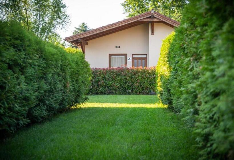 Pandora Zsóry Apartmanok Mezőkövesd